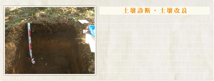 土壌診断・土壌改良