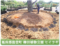 鳳珠郡能登町　柳田植物公園
